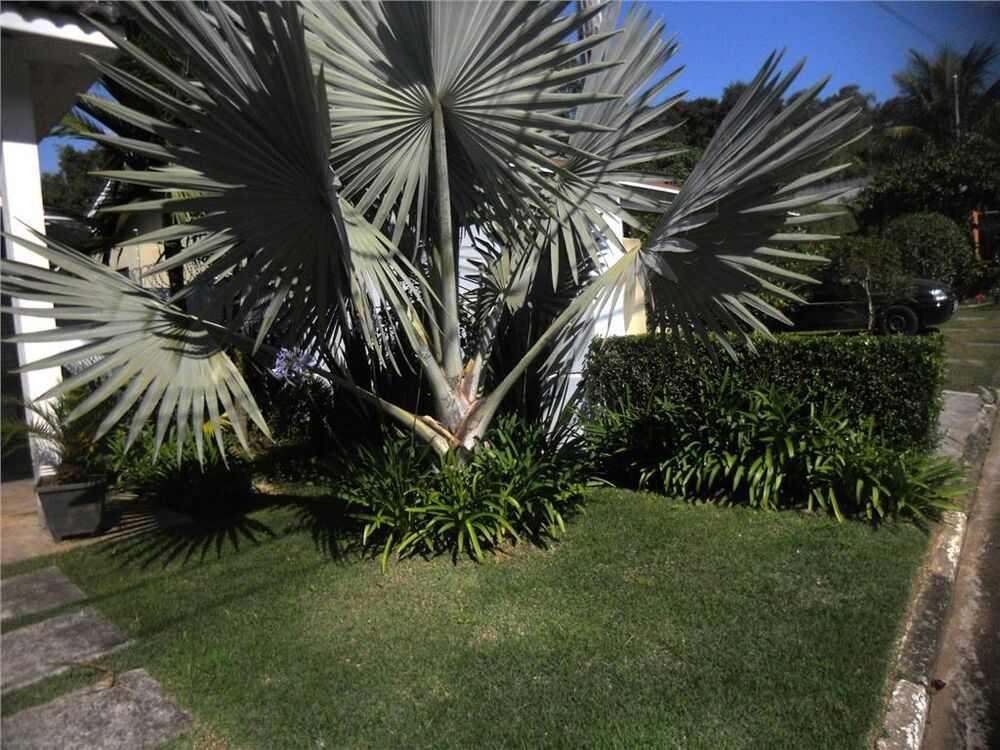 Casa de Condomínio, 4 quartos - Foto 19