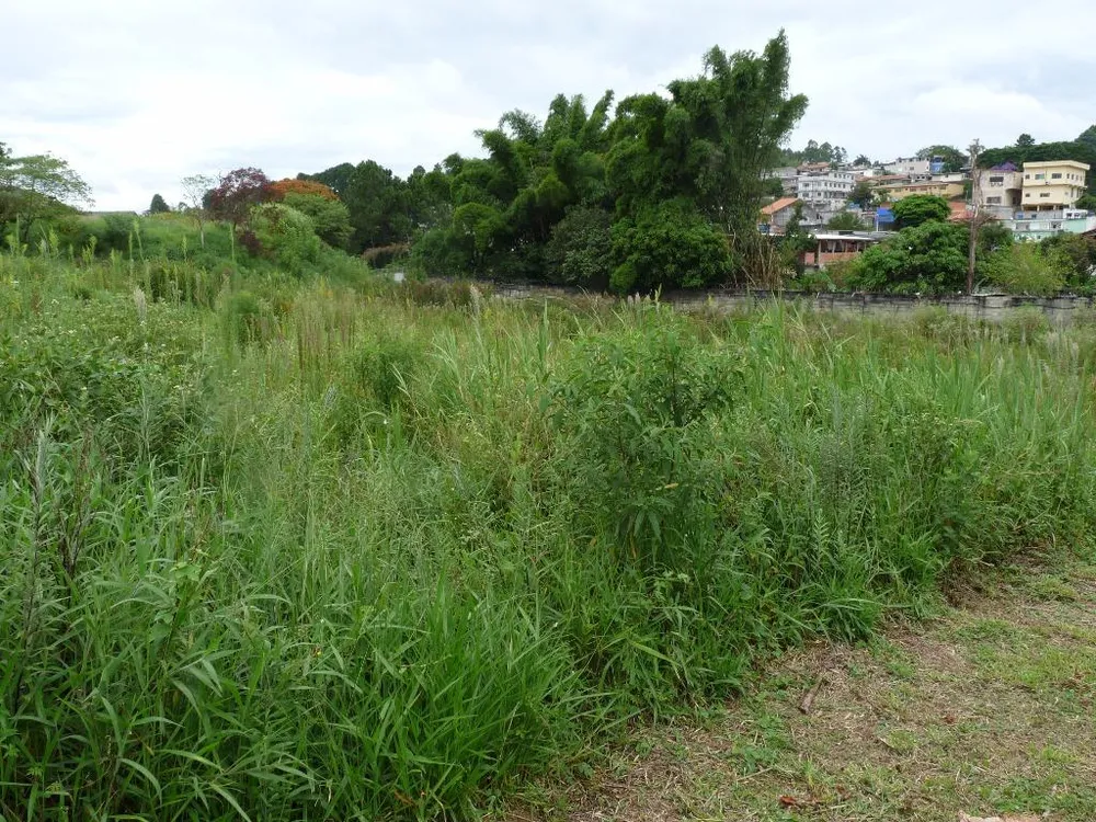 Loteamento e Condomínio, 1236 m² - Foto 3
