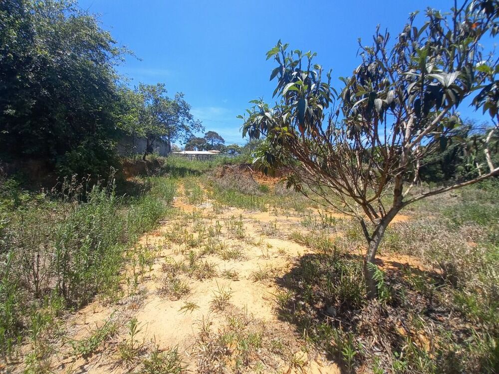 Loteamento e Condomínio, 750 m² - Foto 4