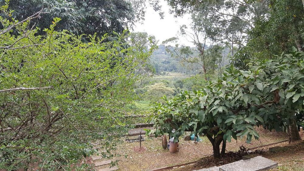 Casa de Condomínio, 5 quartos - Foto 26