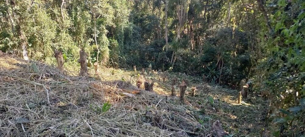 Loteamento e Condomínio à venda, 598m² - Foto 2