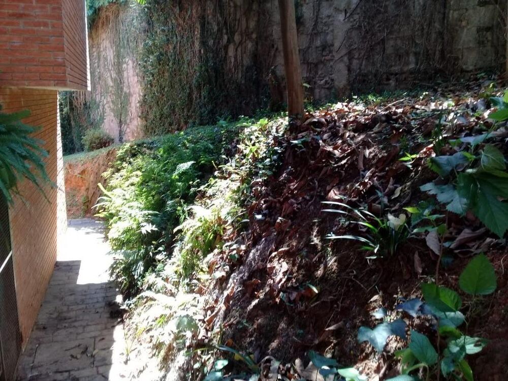 Casa, 4 quartos, 380 m² - Foto 11