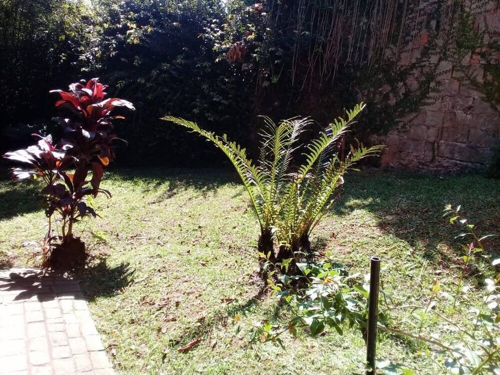 Casa, 4 quartos, 380 m² - Foto 15