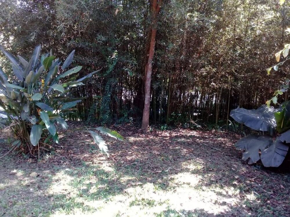 Casa, 4 quartos, 380 m² - Foto 13