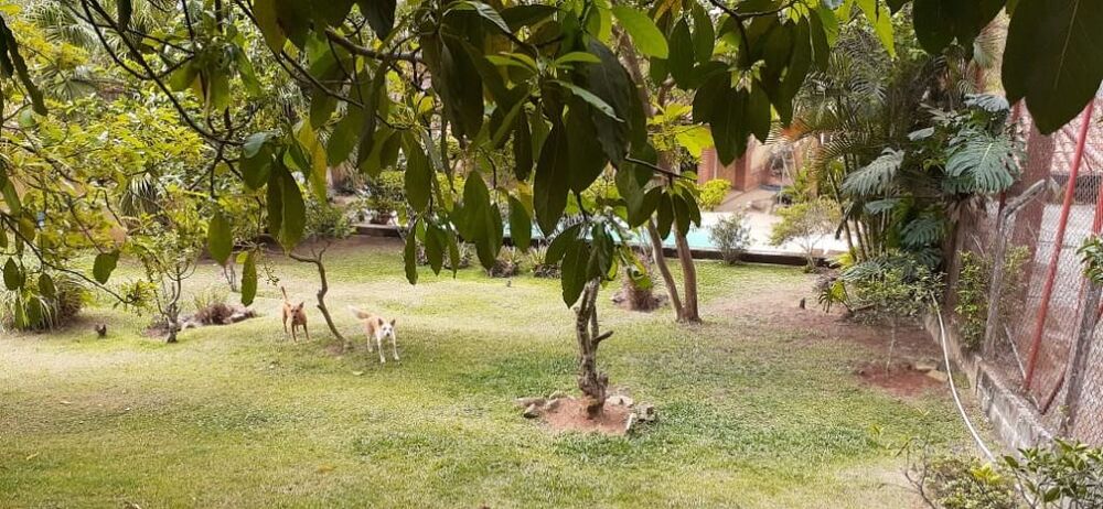 Casa de Condomínio à venda com 4 quartos, 500m² - Foto 8