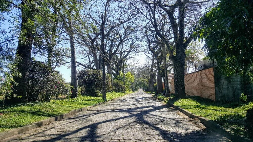 Terreno, 3000 m² - Foto 1