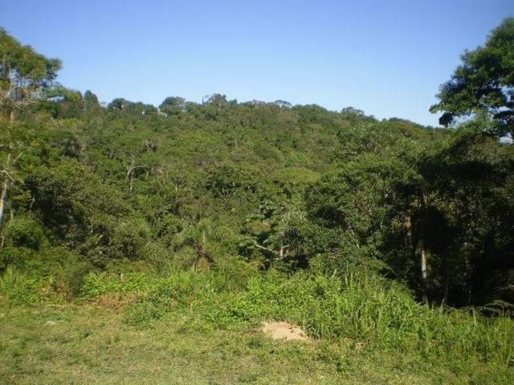 Chácara, 2 quartos, 9100 m² - Foto 4