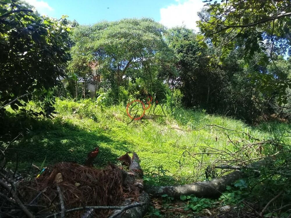 Loteamento e Condomínio à venda, 948m² - Foto 7
