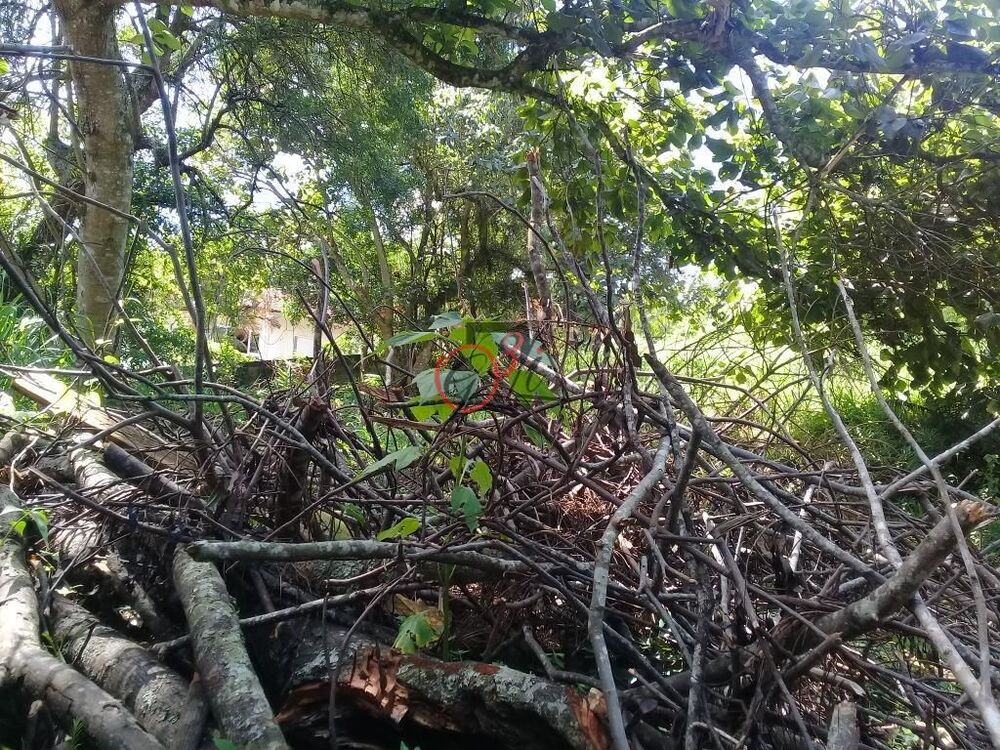 Loteamento e Condomínio à venda, 948m² - Foto 3