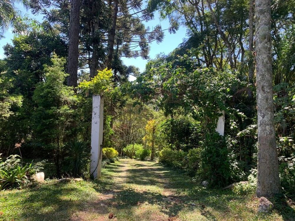 Sítio, 3 quartos, 3 hectares - Foto 6