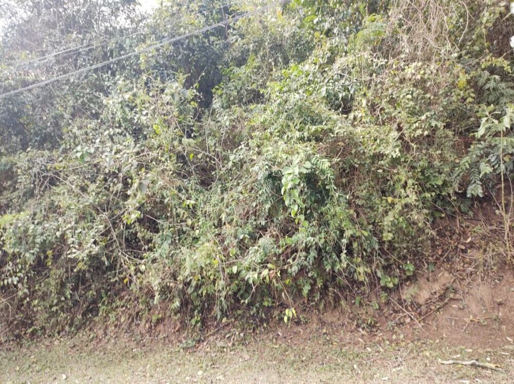 Loteamento e Condomínio, 420 m² - Foto 1