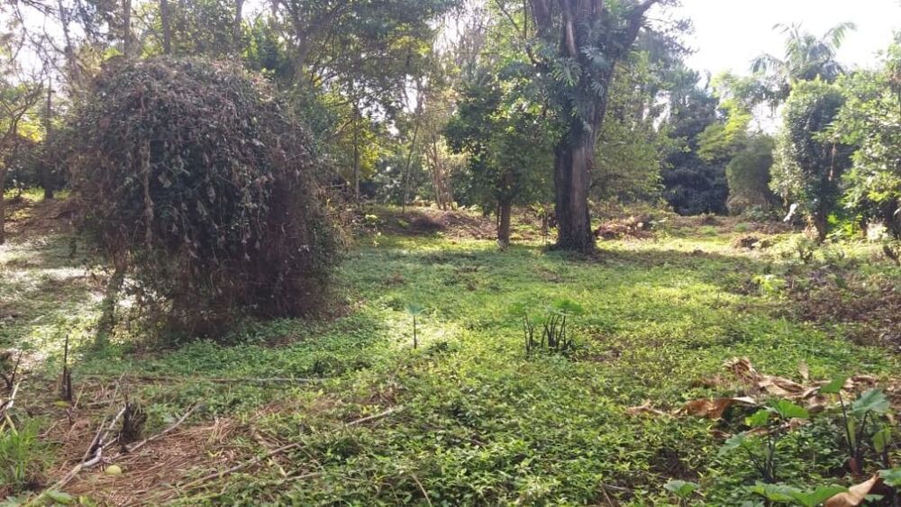 Terreno, 6000 m² - Foto 1