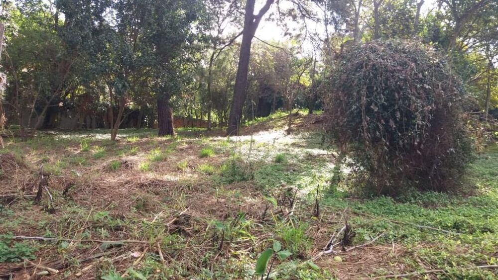 Terreno, 6000 m² - Foto 2