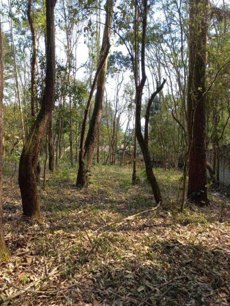 Loteamento e Condomínio, 960 m² - Foto 8