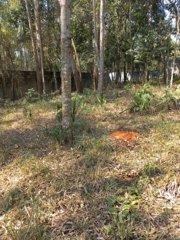 Loteamento e Condomínio, 960 m² - Foto 5