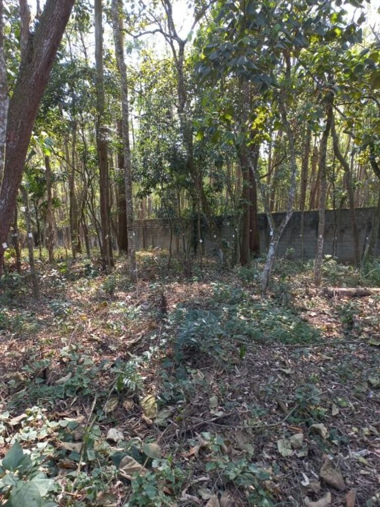 Loteamento e Condomínio, 960 m² - Foto 7