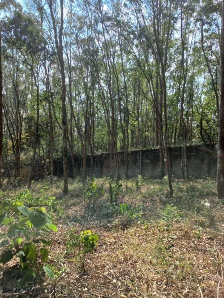 Loteamento e Condomínio, 960 m² - Foto 6