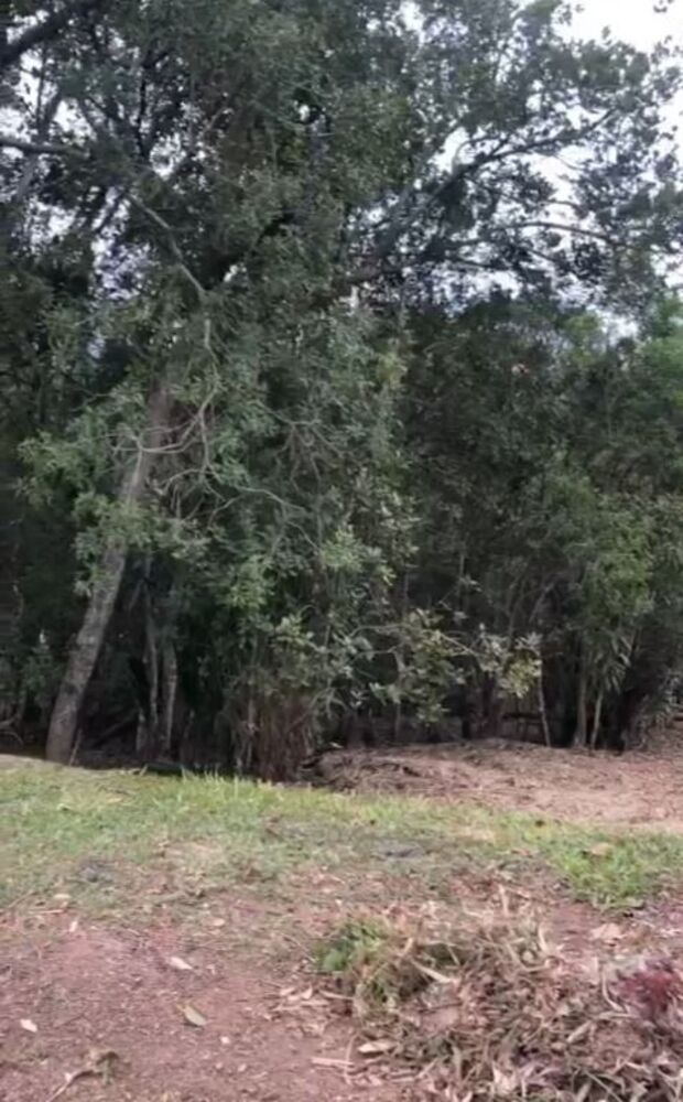 Loteamento e Condomínio, 1500 m² - Foto 2