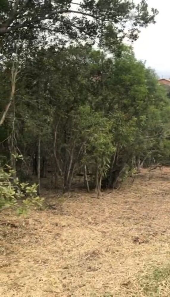 Loteamento e Condomínio, 1500 m² - Foto 6