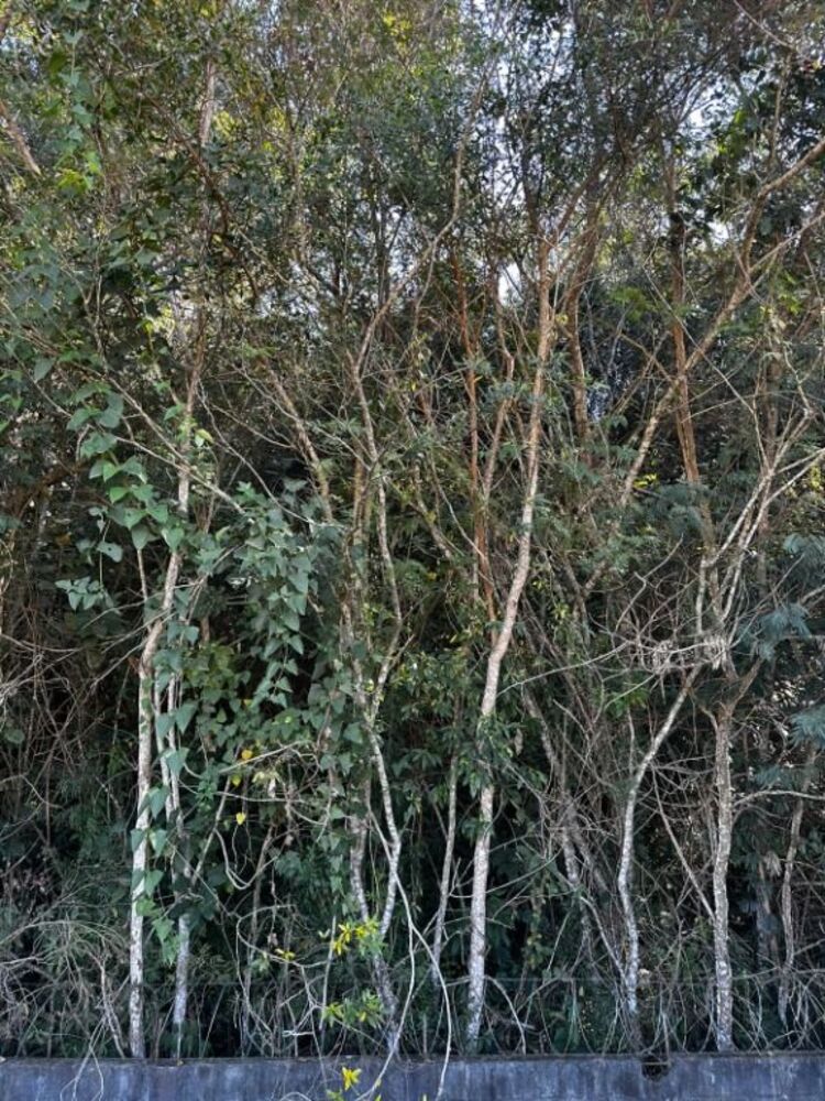 Loteamento e Condomínio, 125 m² - Foto 4