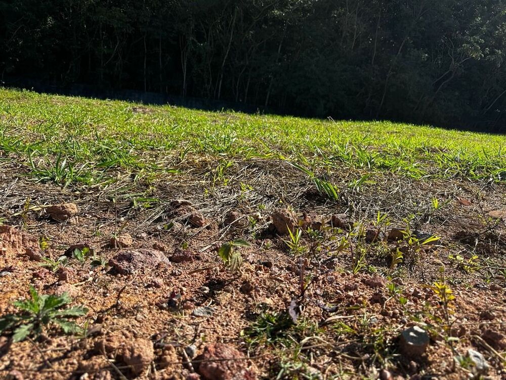 Loteamento e Condomínio, 125 m² - Foto 3