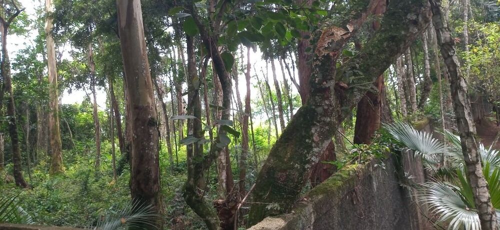 Loteamento e Condomínio, 500 m² - Foto 2