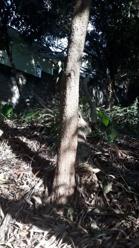 Loteamento e Condomínio, 520 m² - Foto 4