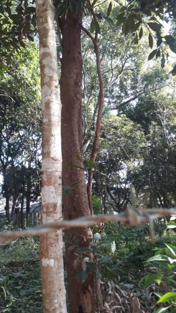 Loteamento e Condomínio, 520 m² - Foto 2