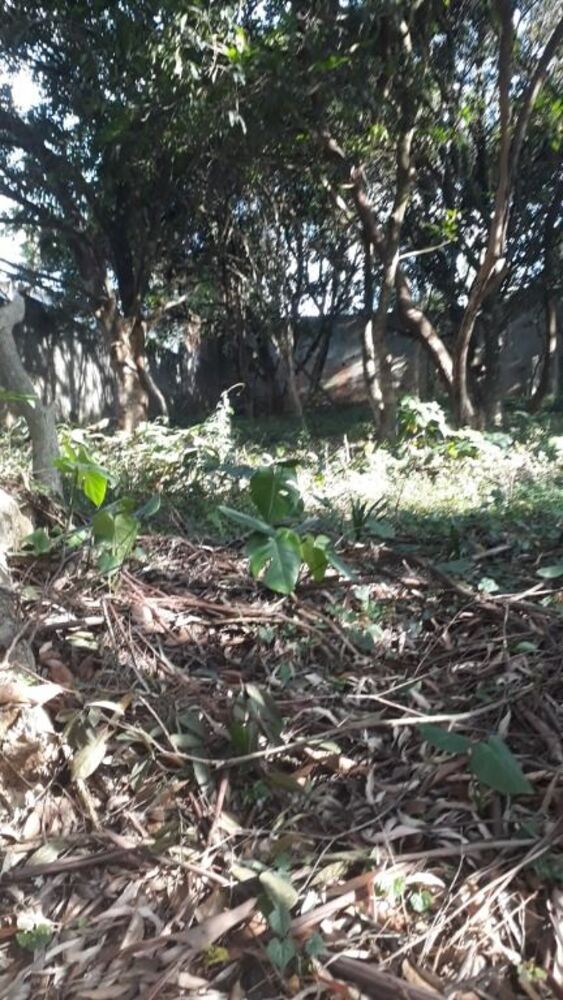 Loteamento e Condomínio, 520 m² - Foto 3