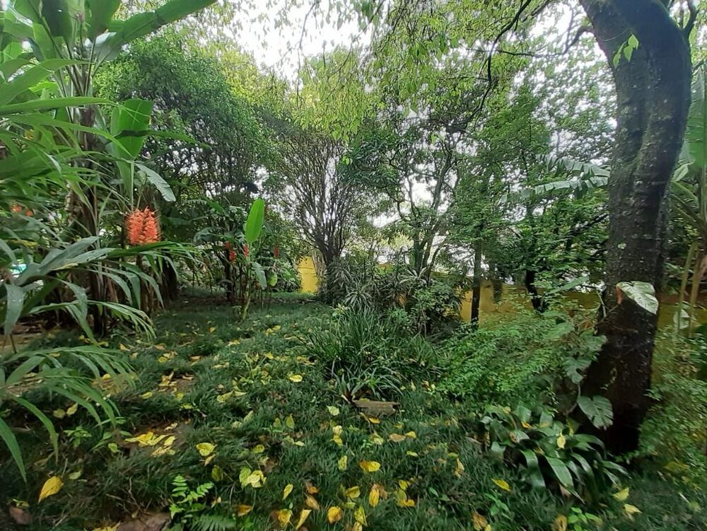 Casa, 3 quartos, 250 m² - Foto 5