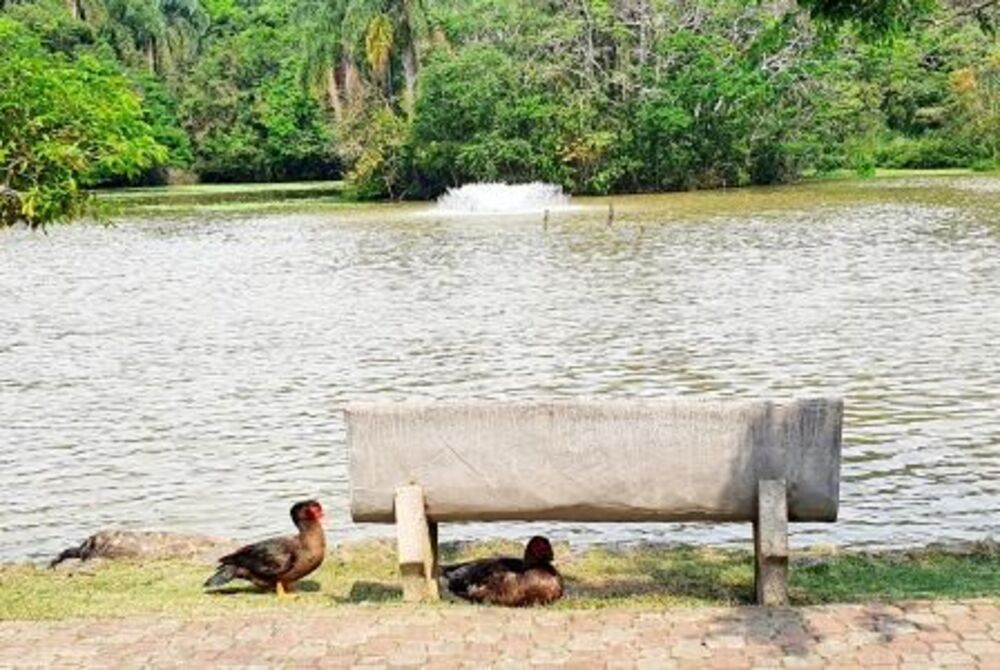 Casa de Condomínio à venda com 2 quartos, 400m² - Foto 13