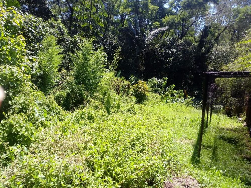 Loteamento e Condomínio, 2990 m² - Foto 8