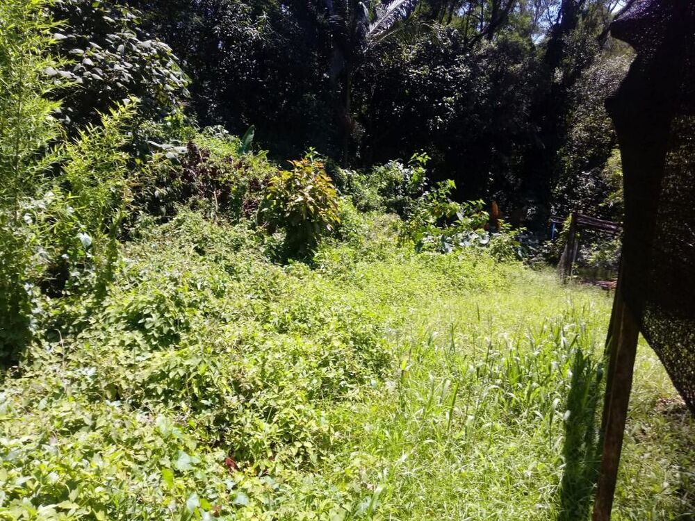 Loteamento e Condomínio, 2990 m² - Foto 4