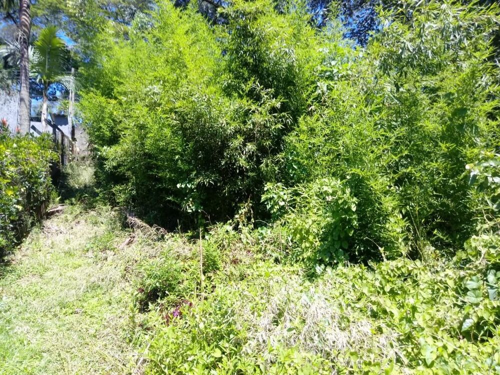 Loteamento e Condomínio, 2990 m² - Foto 6