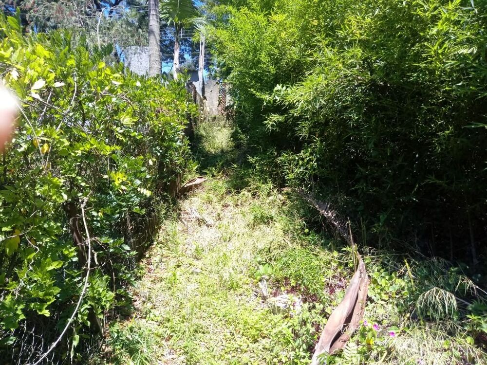 Loteamento e Condomínio, 2990 m² - Foto 5