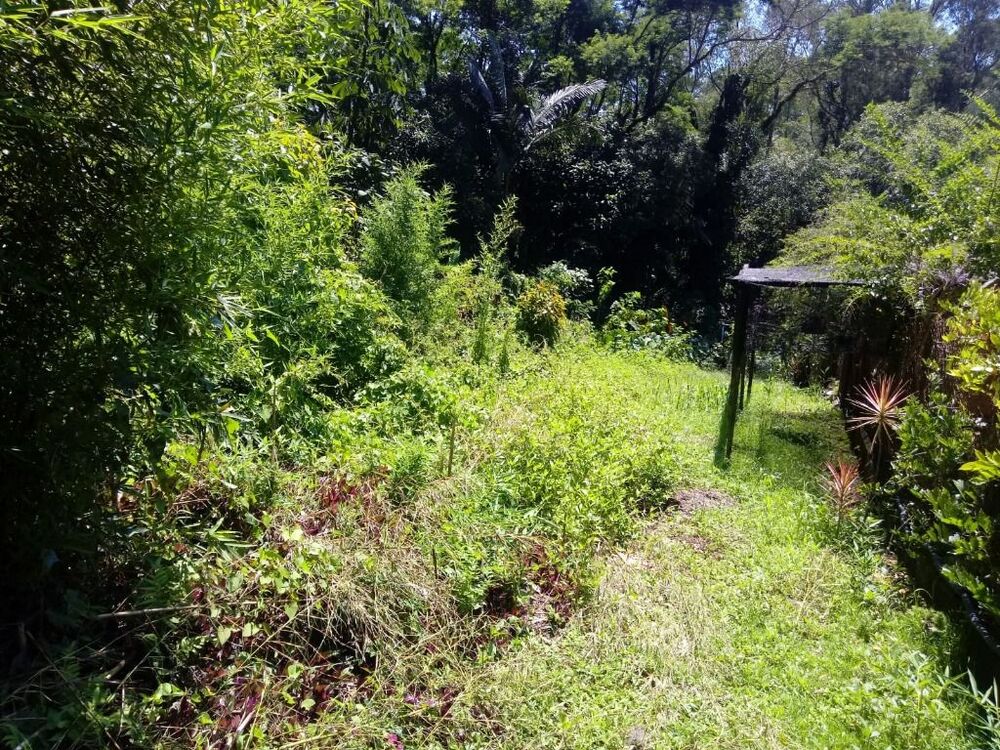 Loteamento e Condomínio, 2990 m² - Foto 7