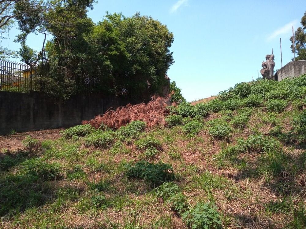 Loteamento e Condomínio, 742 m² - Foto 4