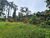 Terreno, 5947 m² - Foto 10