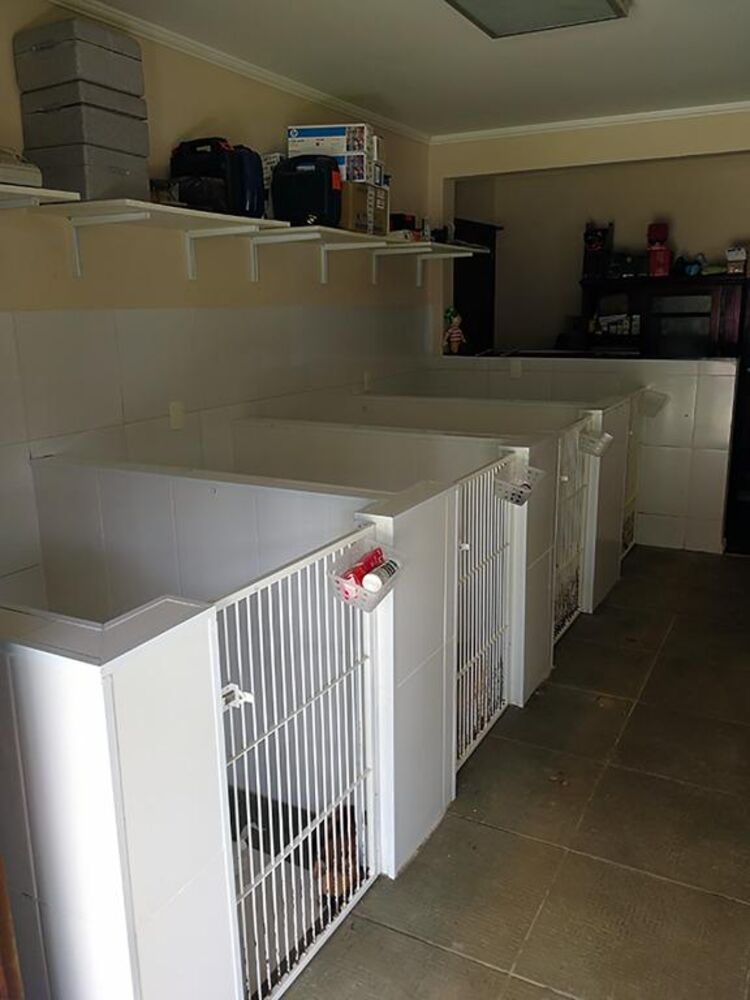 Casa, 2 quartos, 850 m² - Foto 16