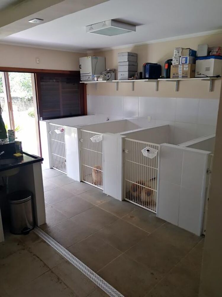 Casa, 2 quartos, 850 m² - Foto 13