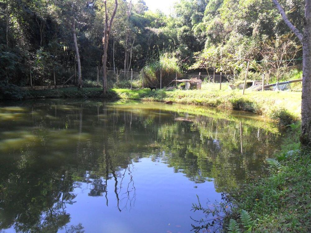 Sítio, 4 quartos, 1 hectares - Foto 3