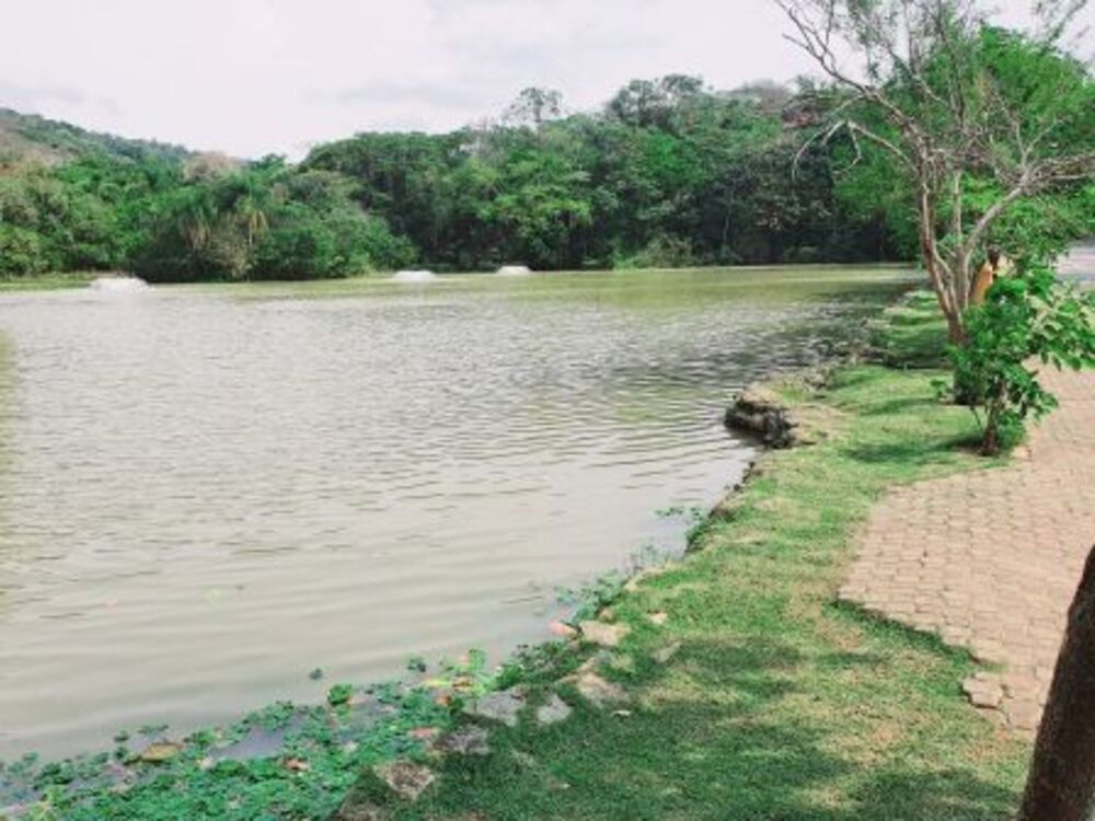 Loteamento e Condomínio, 480 m² - Foto 2