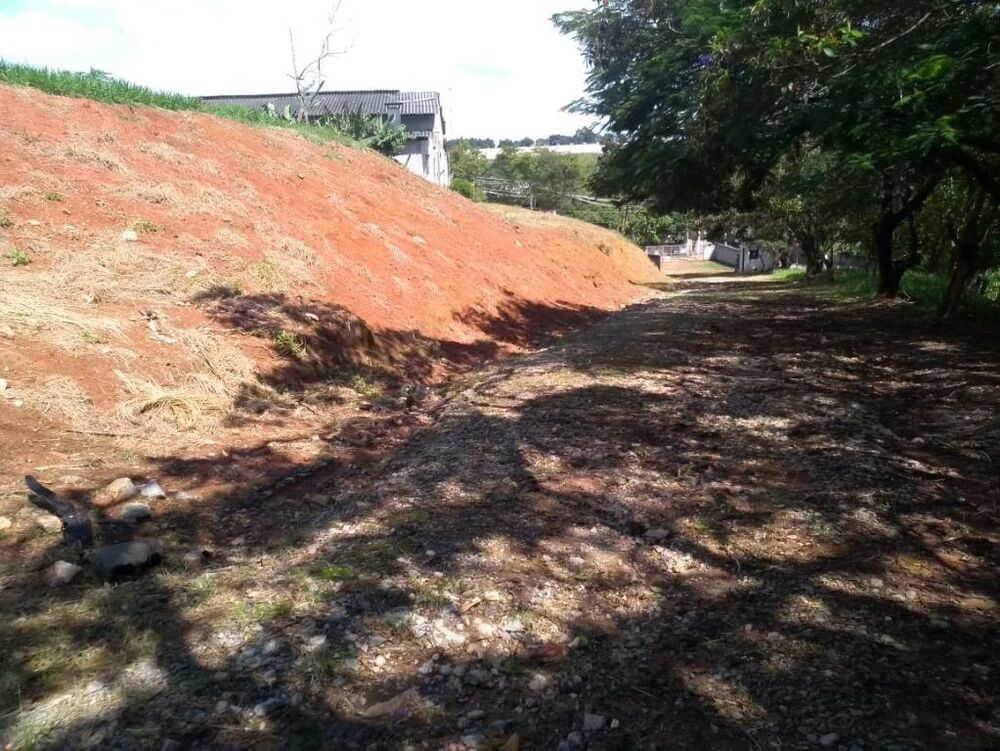 Terreno, 2 hectares - Foto 4