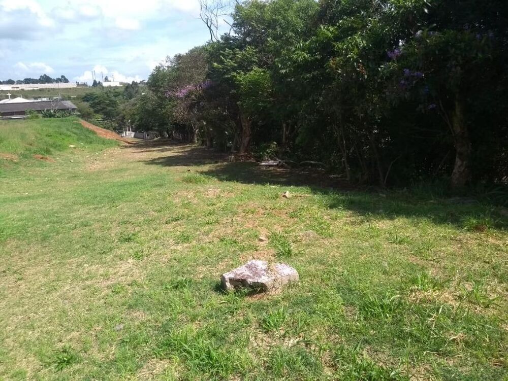 Terreno, 2 hectares - Foto 6