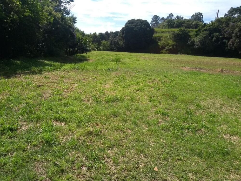 Terreno, 2 hectares - Foto 8