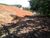 Terreno, 2 hectares - Foto 4