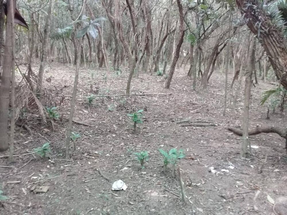 Loteamento e Condomínio, 1200 m² - Foto 7