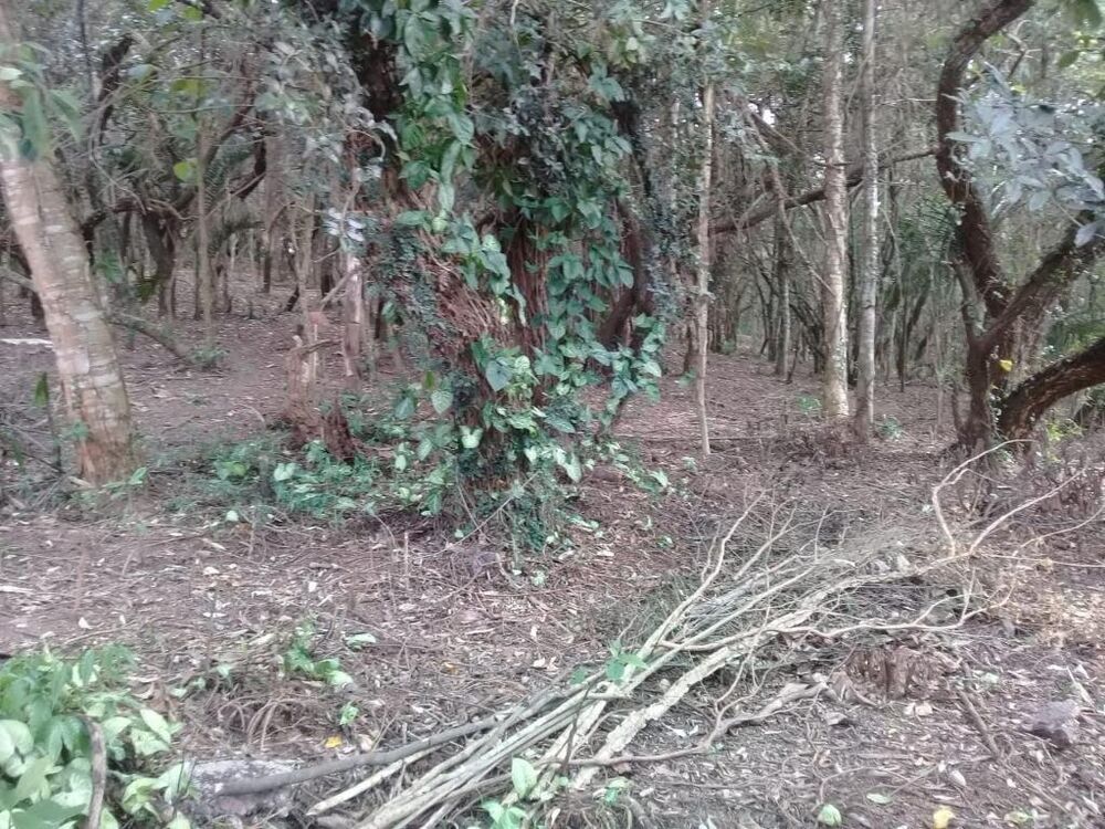 Loteamento e Condomínio, 1200 m² - Foto 3