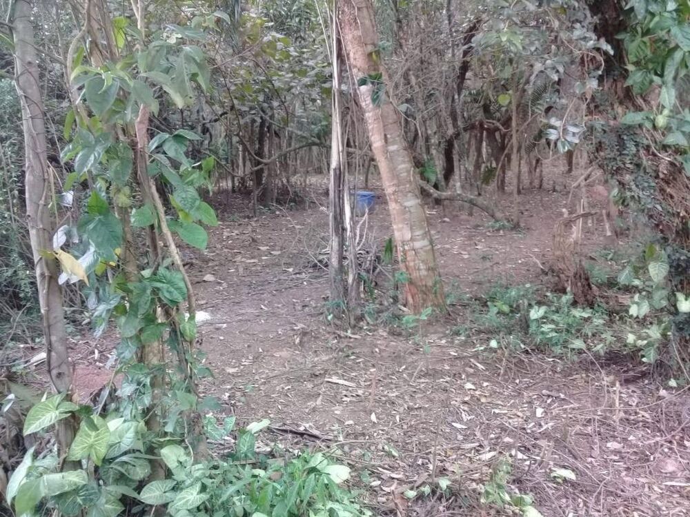 Loteamento e Condomínio, 1200 m² - Foto 4