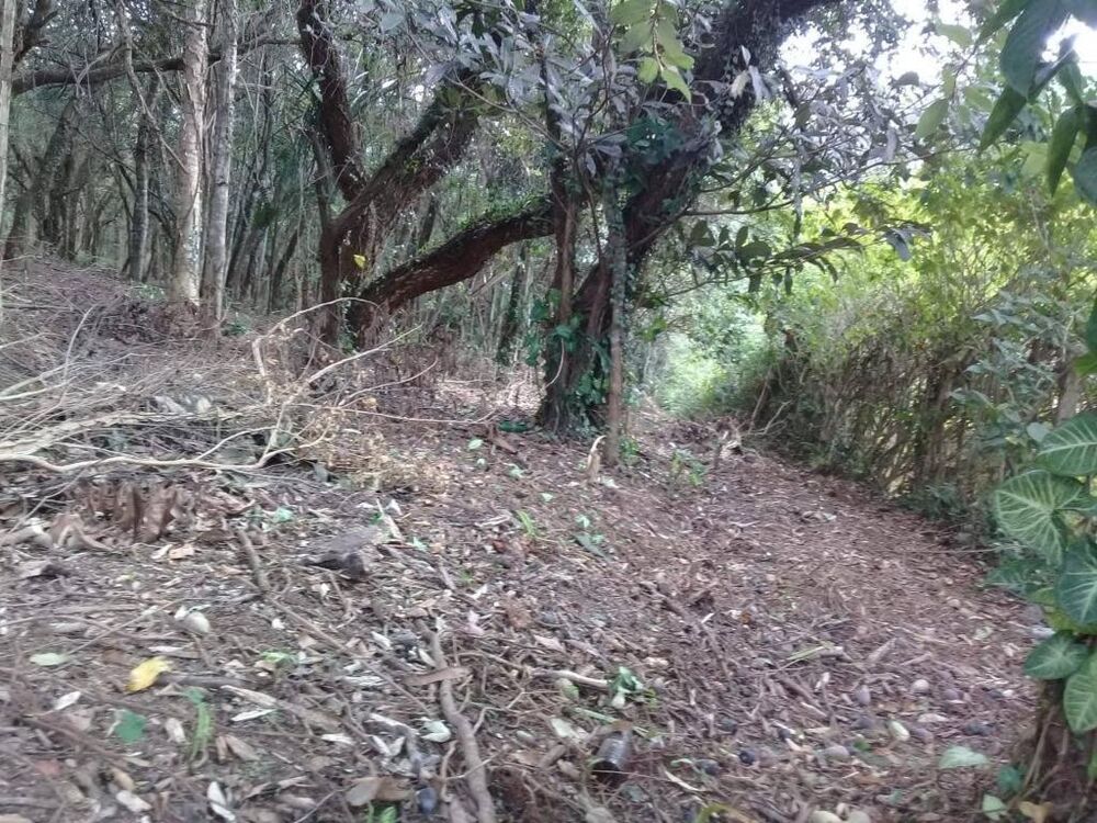 Loteamento e Condomínio, 1200 m² - Foto 5